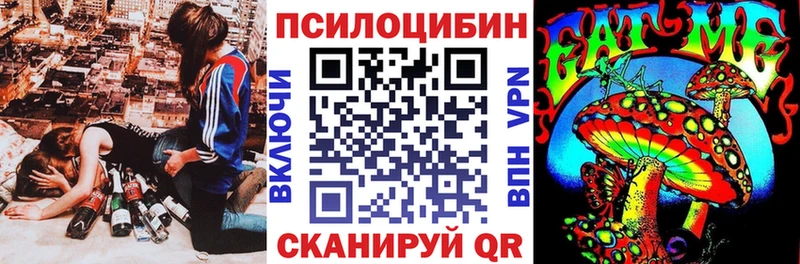 Псилоцибиновые грибы Cubensis  Ялуторовск 