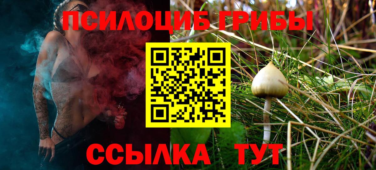Ялуторовск  Галлюциногенные грибы мицелий  Вход с VPN  наркотики  Псилоцибиновые грибы мицелий 