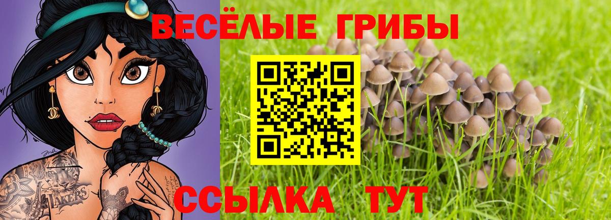 Галлюциногенные грибы прущие грибы  Галлюциногенные грибы Psilocybe  Ялуторовск 
