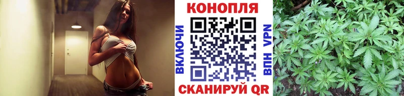 hydra   наркота  Ялуторовск  Бошки марихуана OG Kush 